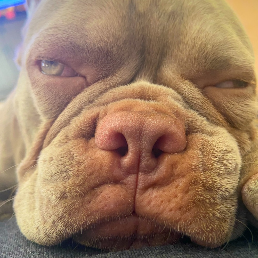 Meet your Posher, Laura